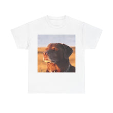 Load image into Gallery viewer, Let Me Know Dog Meme Cotton T-shirt

