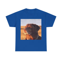 Load image into Gallery viewer, Let Me Know Dog Meme Cotton T-shirt
