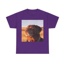 Load image into Gallery viewer, Let Me Know Dog Meme Cotton T-shirt
