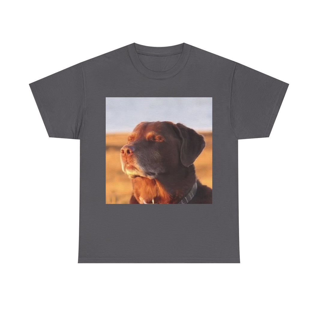 Let Me Know Dog Meme Cotton T-shirt