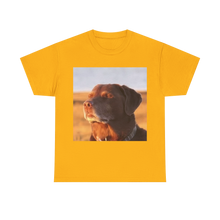 Load image into Gallery viewer, Let Me Know Dog Meme Cotton T-shirt
